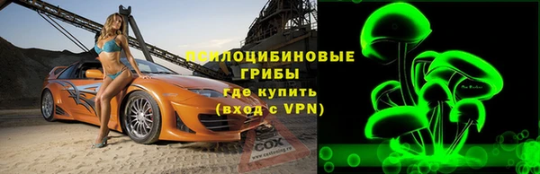 эйфоретик Алексин