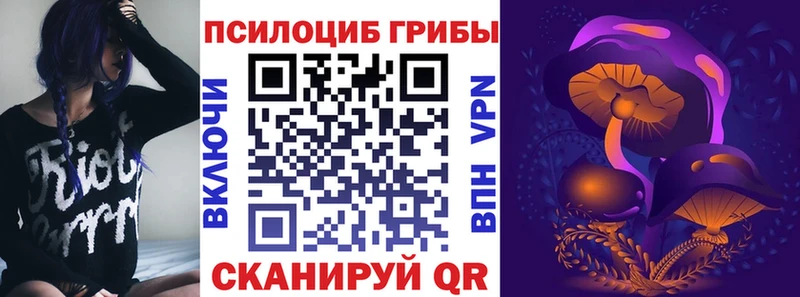Псилоцибиновые грибы мицелий Павловская