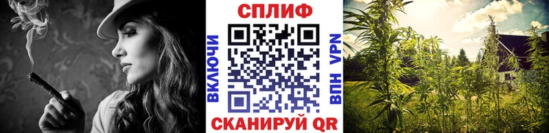 Каннабис Ganja Павловская